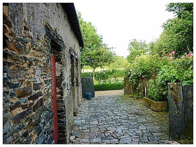 La Veillonnais Bed and Breakfast Angrie Εξωτερικό φωτογραφία